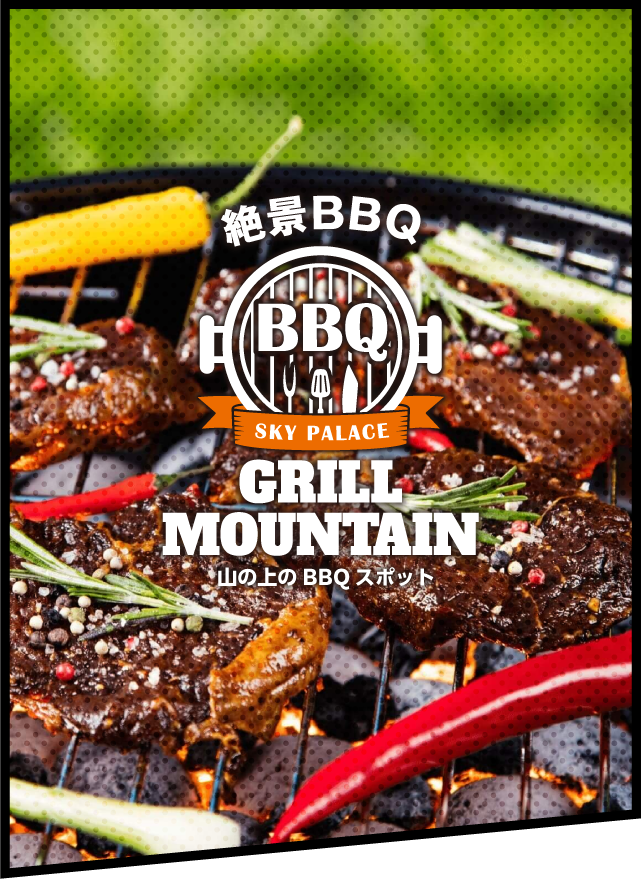 BBQ GRILL MOUNTAIN